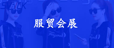 服贸会介绍